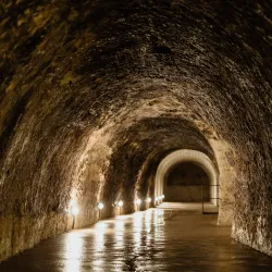 Local Vineyards and Wine Tasting - Tamási