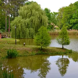 Tamási Arboretum - Tamási