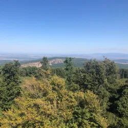 Gerecse Mountains - Tatabanya