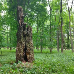 Gerecse Mountains - Tatabanya