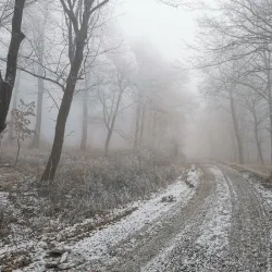 Gerecse Mountains - Tatabanya