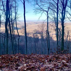 Gerecse Mountains - Tatabanya