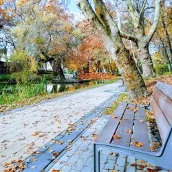 Tatabánya City Park - Tatabanya