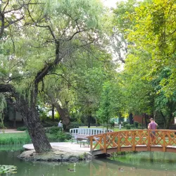 Tatabánya City Park - Tatabanya