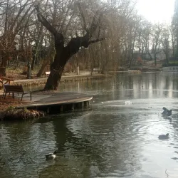 Tatabánya City Park - Tatabanya