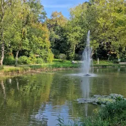 Tatabánya City Park - Tatabanya