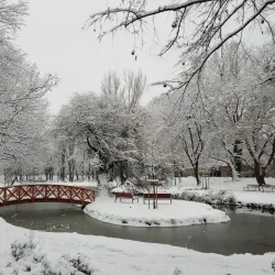 Tatabánya City Park - Tatabanya
