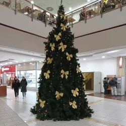 Tatabánya Cultural Center - Tatabanya