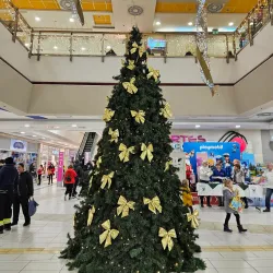 Tatabánya Cultural Center - Tatabanya