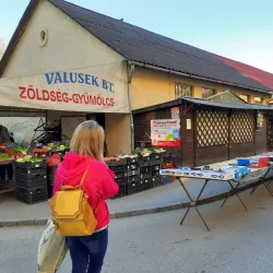 Tatabánya Market Hall - Tatabanya
