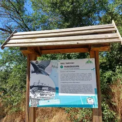 Turul Monument - Tatabanya