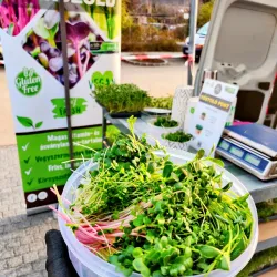 Local Farmers Market - Törökbálint