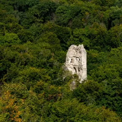 Bakony Hills - Varpalota