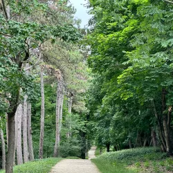 Bakony Museum - Veszprem