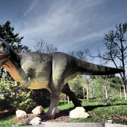 Veszprém Zoo and Botanical Garden - Veszprem