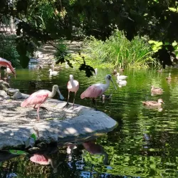 Veszprém Zoo and Botanical Garden - Veszprem