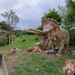 Veszprém Zoo and Botanical Garden - Veszprem