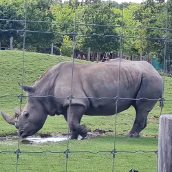 Veszprém Zoo and Botanical Garden - Veszprem