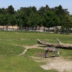 Veszprém Zoo and Botanical Garden - Veszprem