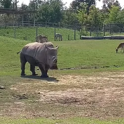 Veszprém Zoo and Botanical Garden - Veszprem