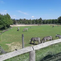 Veszprém Zoo and Botanical Garden - Veszprem