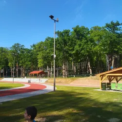 Kisfaludy Sándor Park - Zalaegerszeg