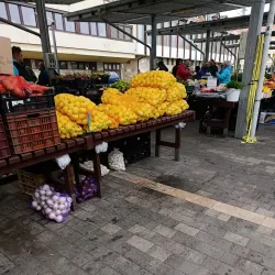 Zalaegerszeg Market Hall - Zalaegerszeg