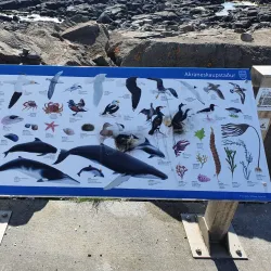 Akranes Harbor - Akranes