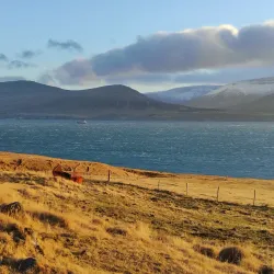 Hvalfjörður Fjord - Akranes