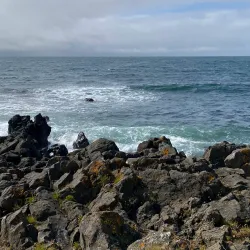 Langisandur Beach - Akranes