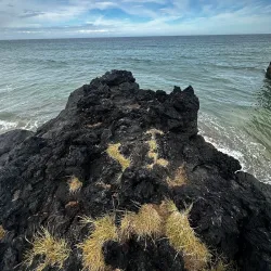 Skarðsvík Beach - Akranes