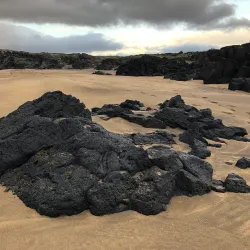 Skarðsvík Beach - Akranes