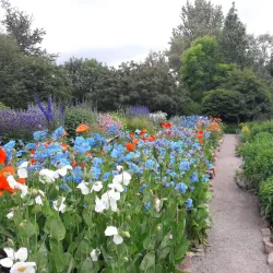 Akureyri Botanical Gardens (Lystigarður Akureyrar) - Akureyri