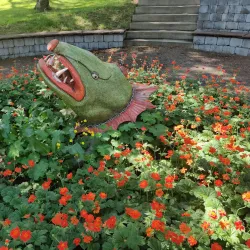 Akureyri Museum - Akureyri