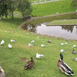 Akureyri Swimming Pool (Sundlaug Akureyrar) - Akureyri