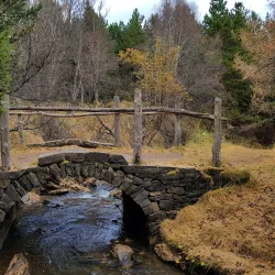 Kjarnaskógur Forest and Hiking Trails - Akureyri