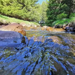 Kjarnaskógur Forest and Hiking Trails - Akureyri