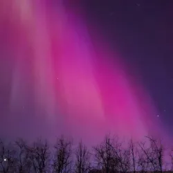 Kjarnaskógur Forest and Hiking Trails - Akureyri