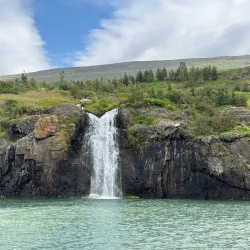 Whale Watching Tours from Akureyri Harbor - Akureyri