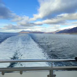 Whale Watching Tours from Akureyri Harbor - Akureyri