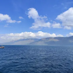 Whale Watching Tours from Akureyri Harbor - Akureyri