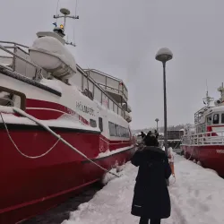 Whale Watching Tours from Akureyri Harbor - Akureyri