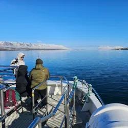 Whale Watching Tours from Akureyri Harbor - Akureyri