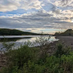 Borgarholtsskógur Forest - Hafnarfjörður (Hafnarfjorour)