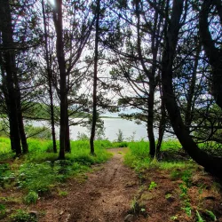 Borgarholtsskógur Forest - Hafnarfjörður (Hafnarfjorour)