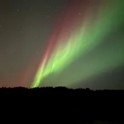 Borgarholtsskógur Forest - Hafnarfjörður (Hafnarfjorour)