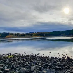 Borgarholtsskógur Forest - Hafnarfjörður (Hafnarfjorour)