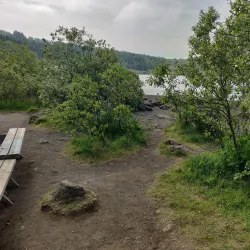 Borgarholtsskógur Forest - Hafnarfjörður (Hafnarfjorour)