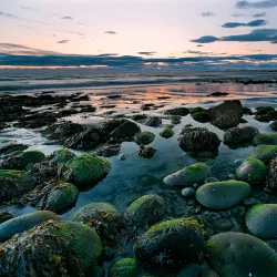Borgarholtsskógur Forest - Hafnarfjörður (Hafnarfjorour)