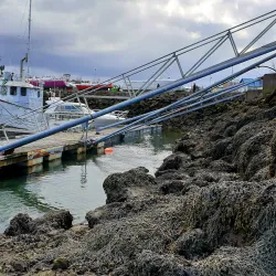Hafnarfjörður Harbor - Hafnarfjörður (Hafnarfjorour)